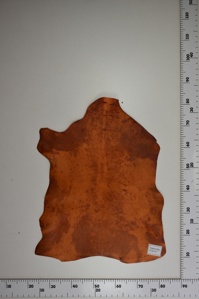 Pergamino tintado marrón rojizo 30-000-02-07