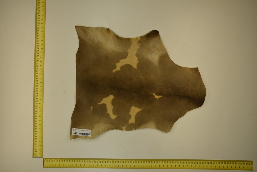 Aged lambskin 1ª ID.067