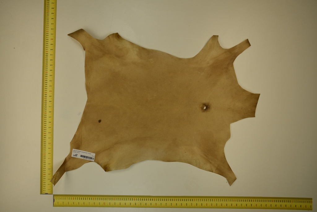 Piel de cordero envejecido 1ª ID.072