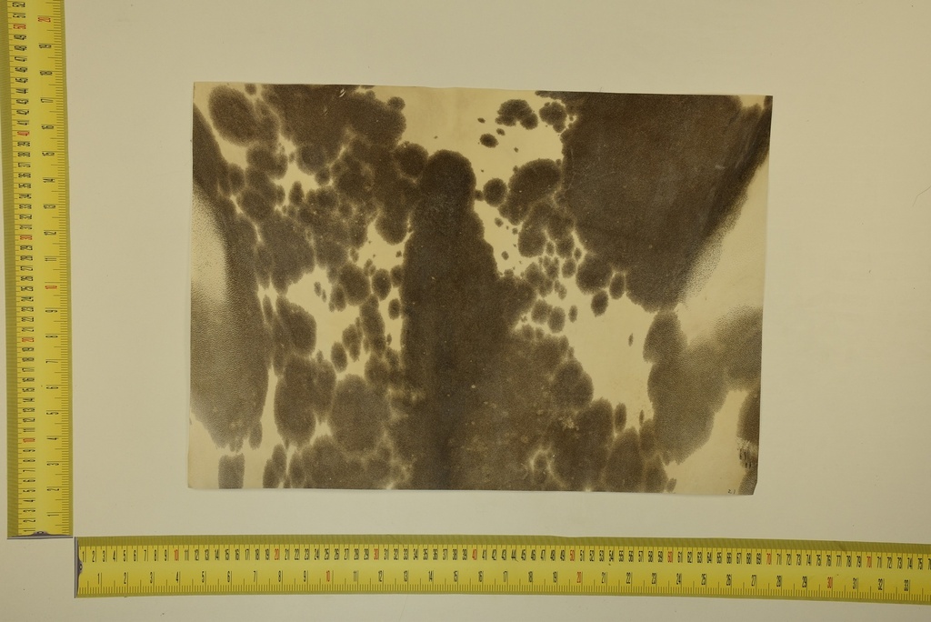 Speckled sheet 53 X 37 2ª ID.020