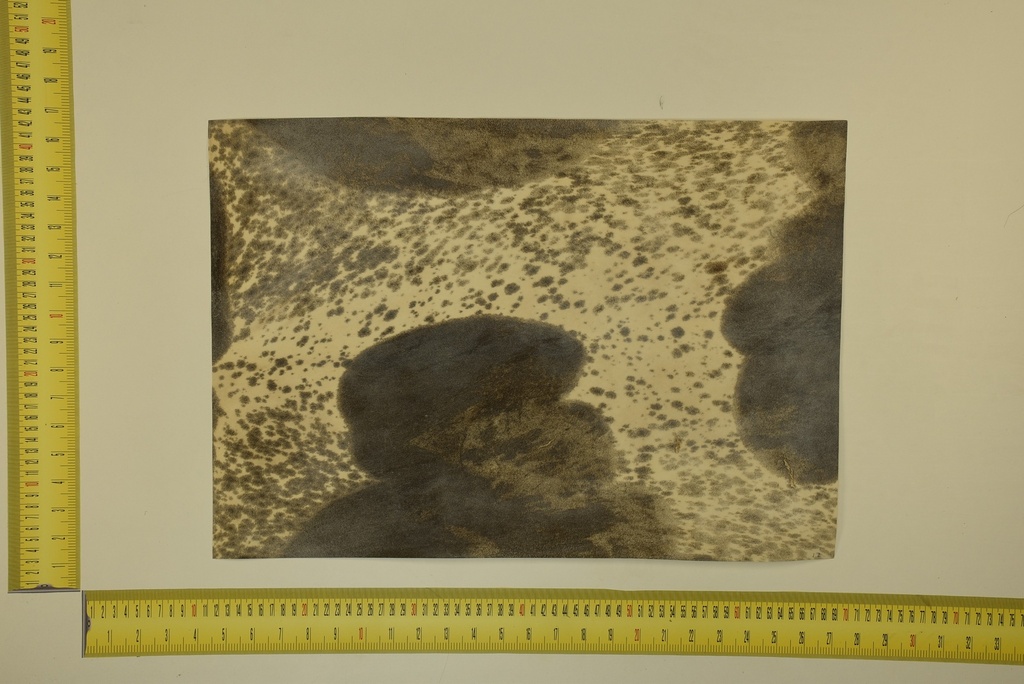 Speckled sheet 53 X 37 2ª ID.050