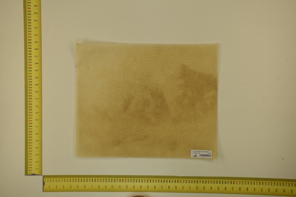 DINA Parchment sheet for digital printing 30 x 40 Cm ID.057