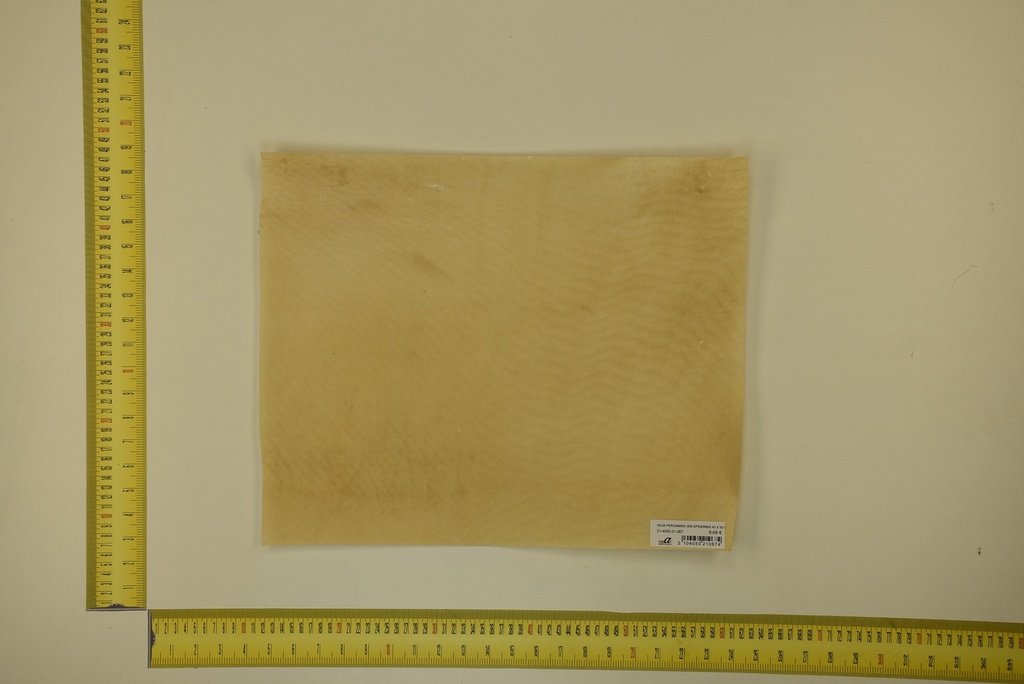DINA Parchment sheet for digital printing 30 x 40 Cm ID.067