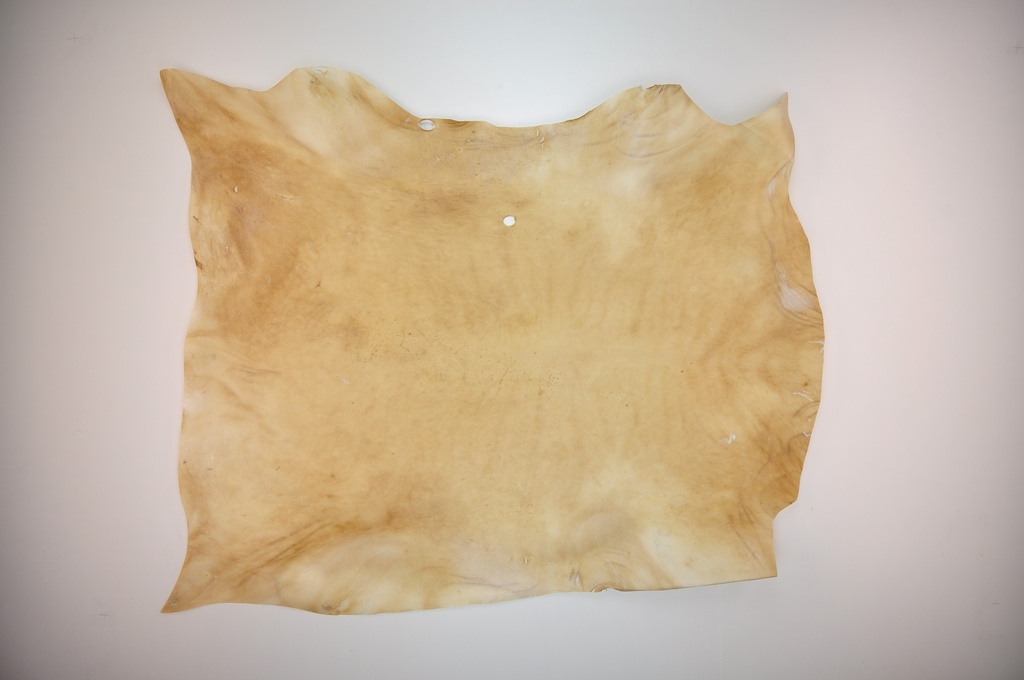 Aged sheepskin (Stock)