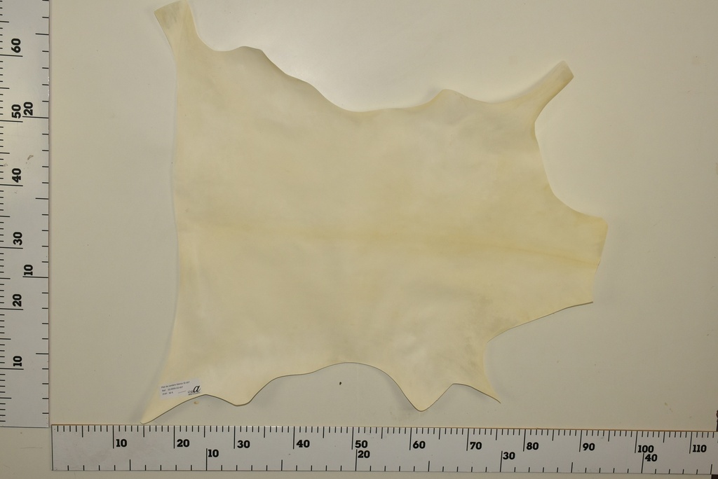 Piel de cordero blanco ID.007