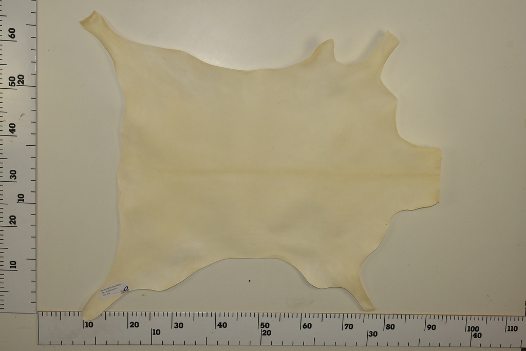 Piel de cordero blanco ID.015