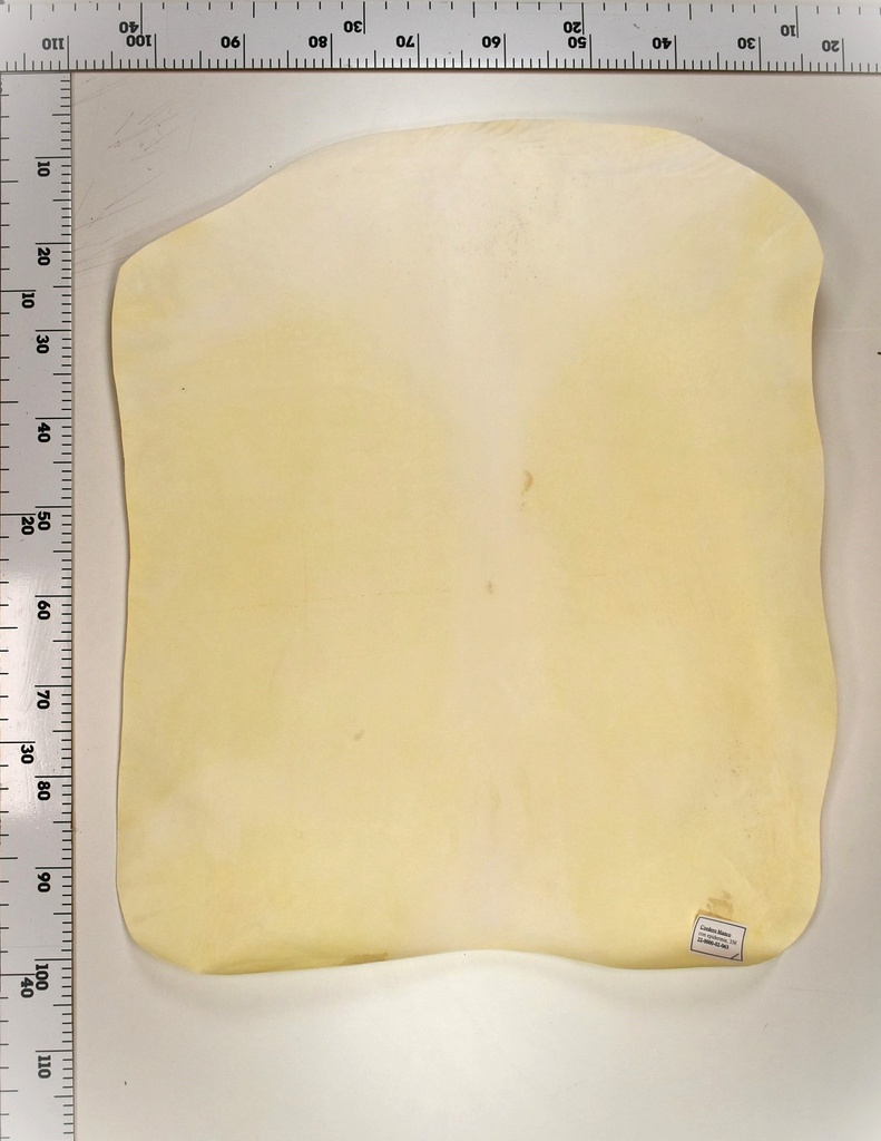 Cordero Blanco 22-0000-02-063