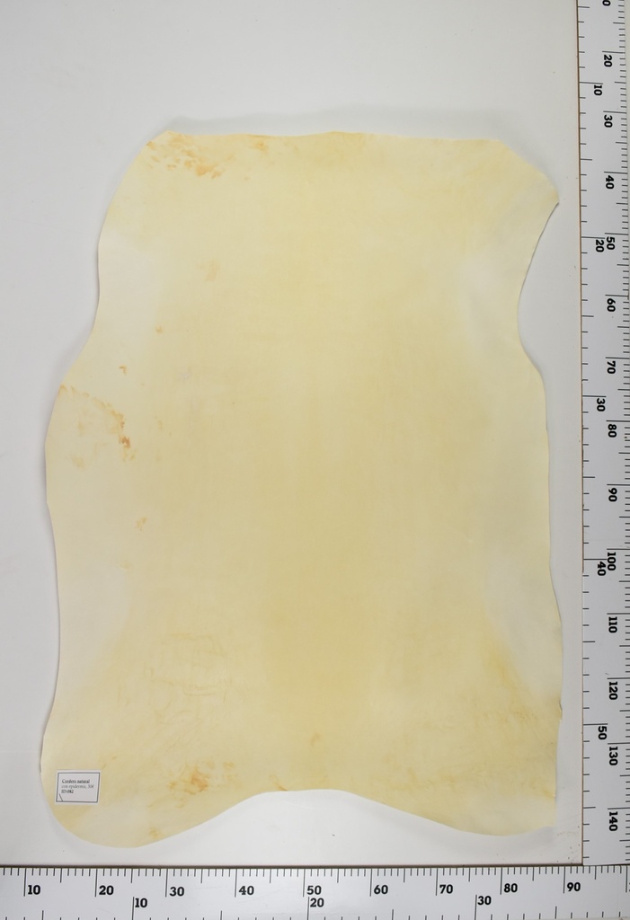 Cordero Natural ID082