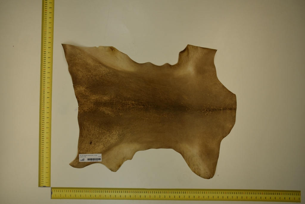 Aged lambskin 1ª ID.002