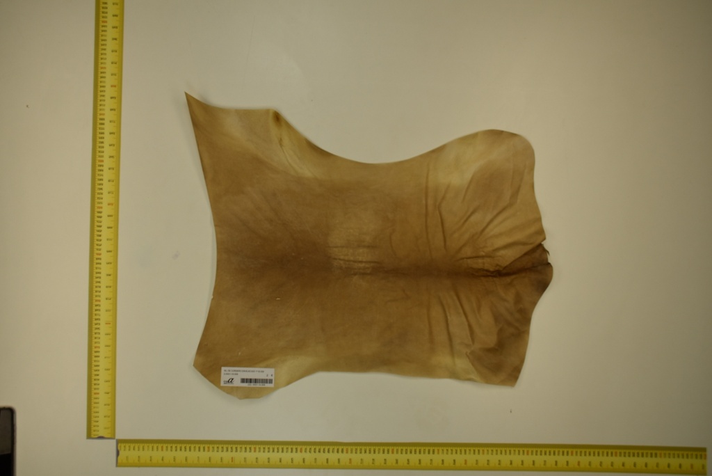 Aged lambskin 1ª ID.009