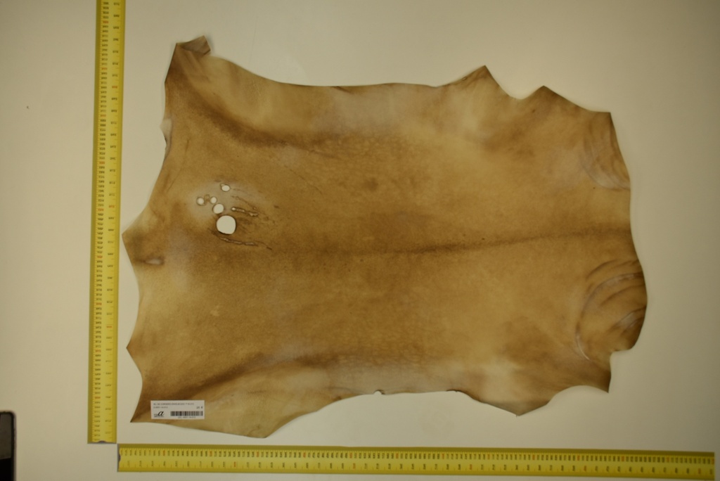 Aged lambskin 1ª ID.013