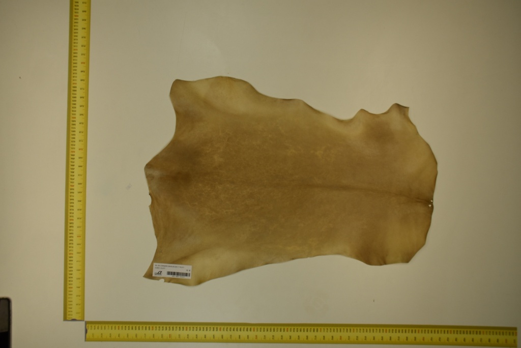 Aged lambskin 1ª ID.017