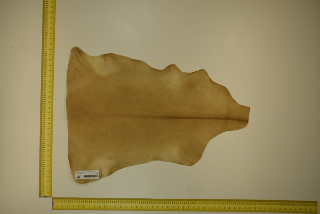 Aged lambskin 1ª ID.025