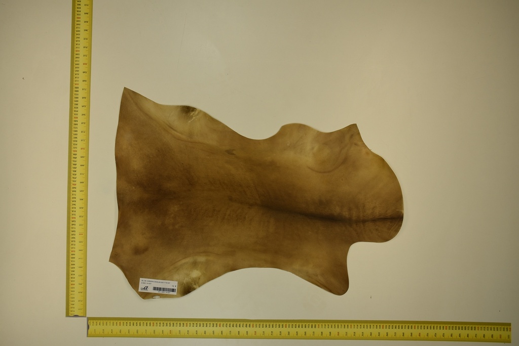 Aged lambskin 1ª ID.027