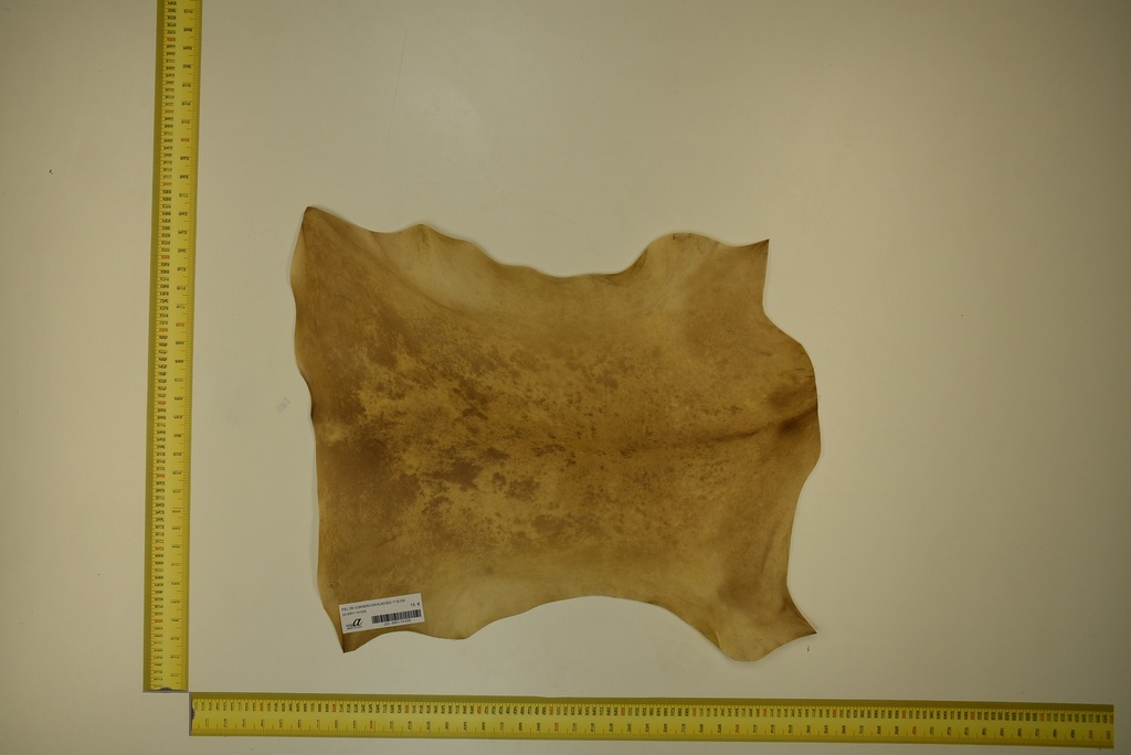 Aged lambskin 1ª ID.030