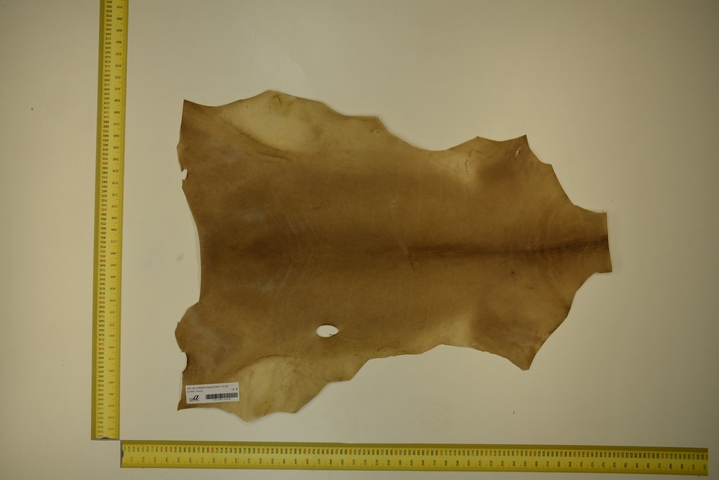 Aged lambskin 1ª ID.032