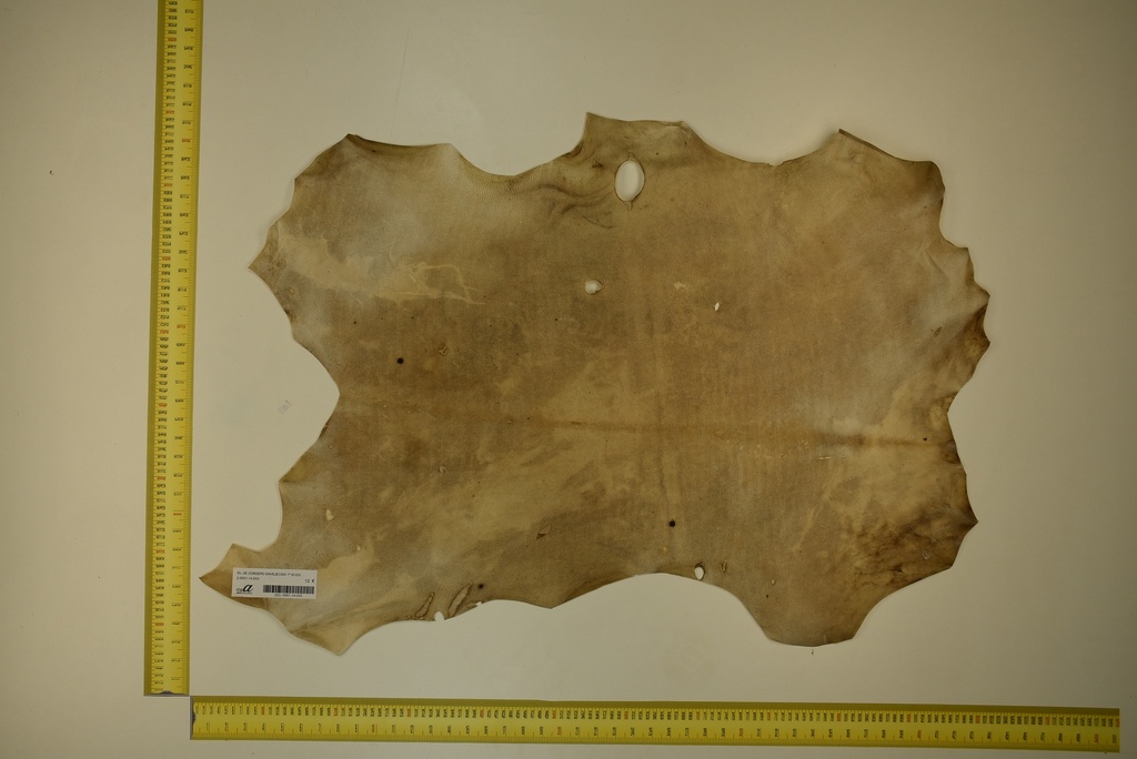 Aged lambskin 1ª ID.033