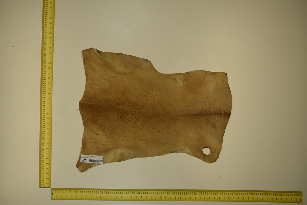 Aged lambskin 1ª ID.035