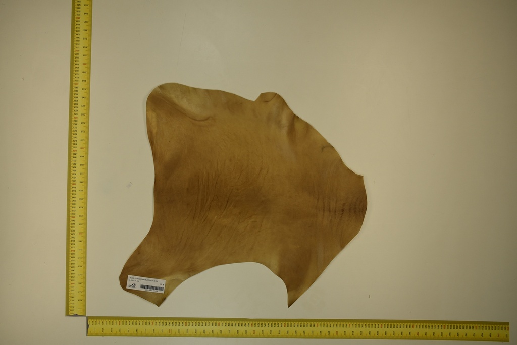 Aged lambskin 1ª ID.039