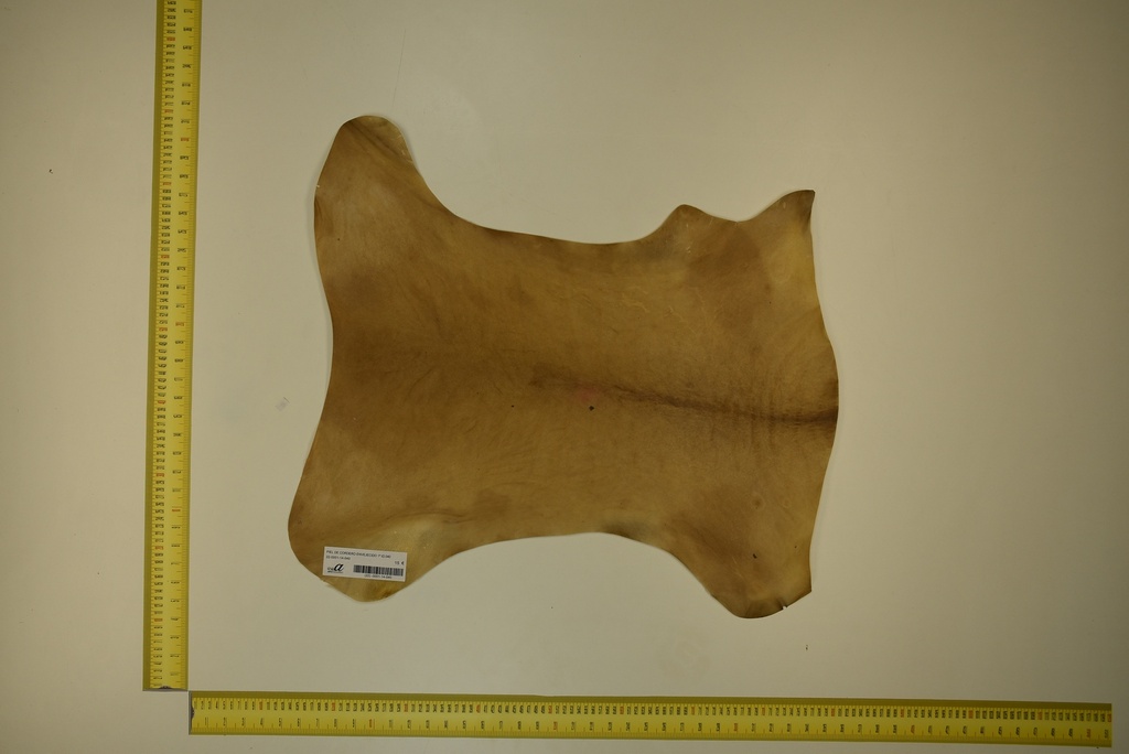 Aged lambskin 1ª ID.040