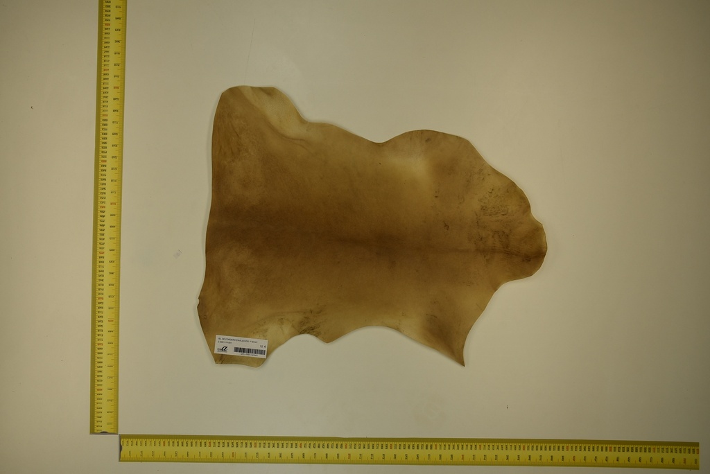Aged lambskin 1ª ID.041