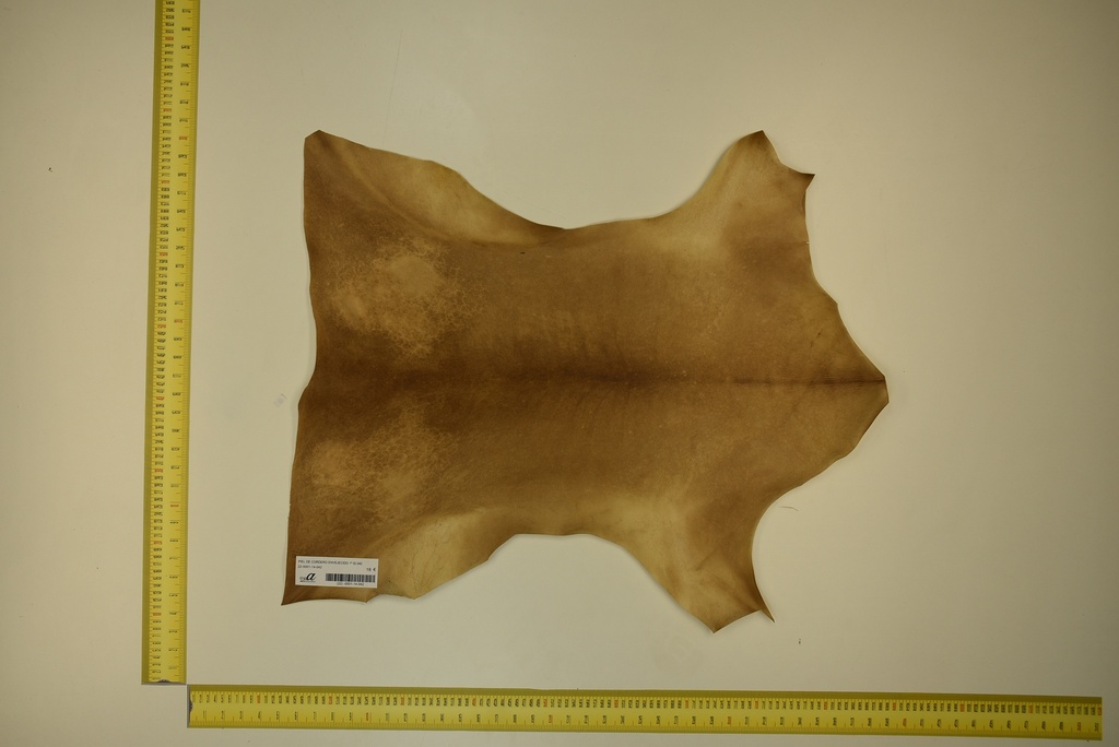 Aged lambskin 1ª ID.042