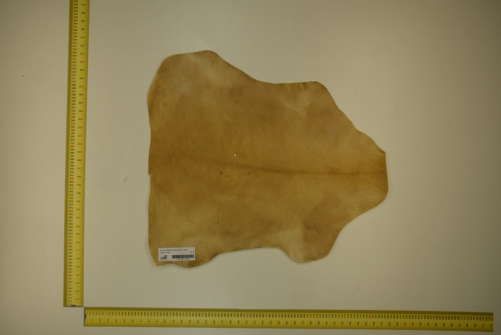 Aged lambskin 1ª ID.043