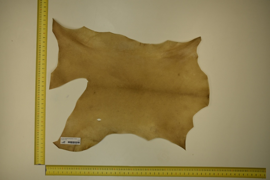 Piel de cordero envejecido 1ª ID.044