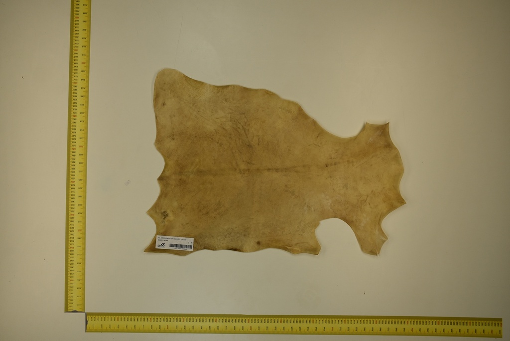 Aged lambskin 1ª ID.049