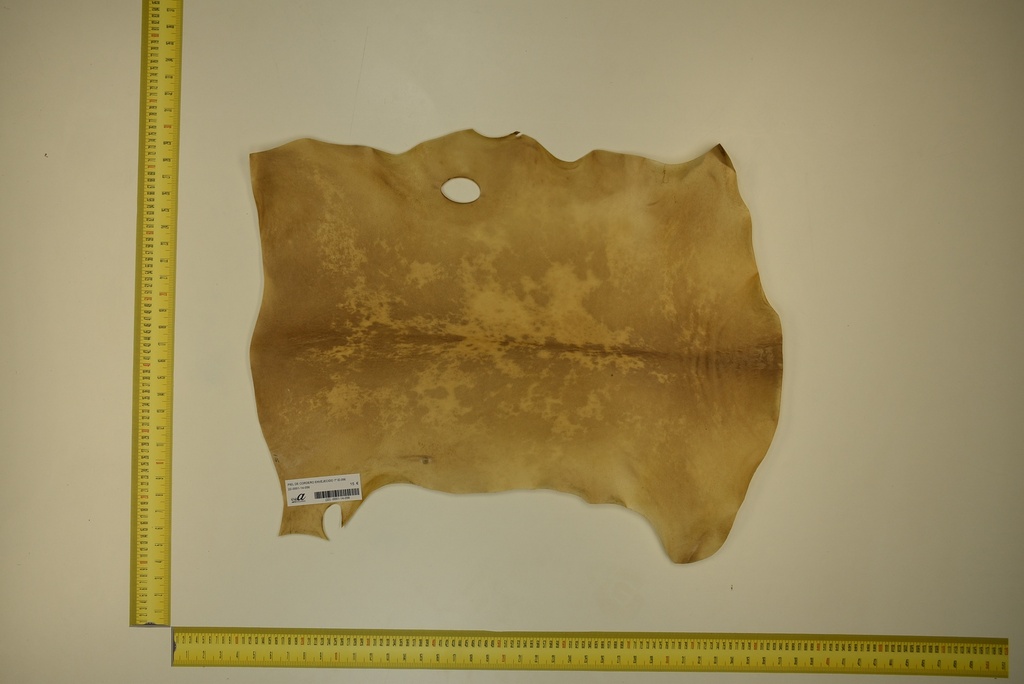 Aged lambskin 1ª ID.056