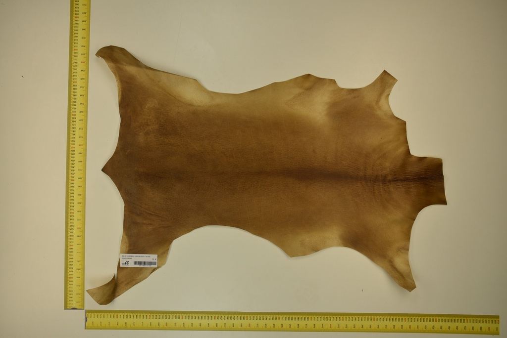 Aged lambskin 1ª ID.059