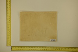[21-4050-21-072] DINA Parchment sheet for digital printing 30 x 40 Cm ID.072