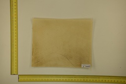 [21-4050-21-075] DINA Parchment sheet for digital printing 30 x 40 Cm ID.075