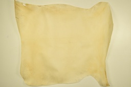 [21-0001-01] Sheepskin whithout  epidermis (Stock)