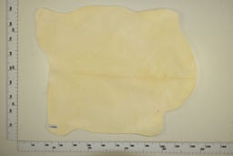 [23-0001-02-017] White goat skin ID.017