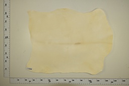 [23-0001-02-011] White goat skin ID.011