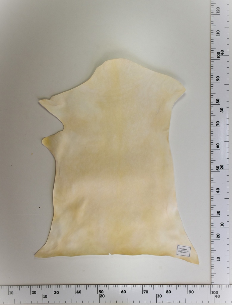 Cordero Blanco 22-0000-02-028