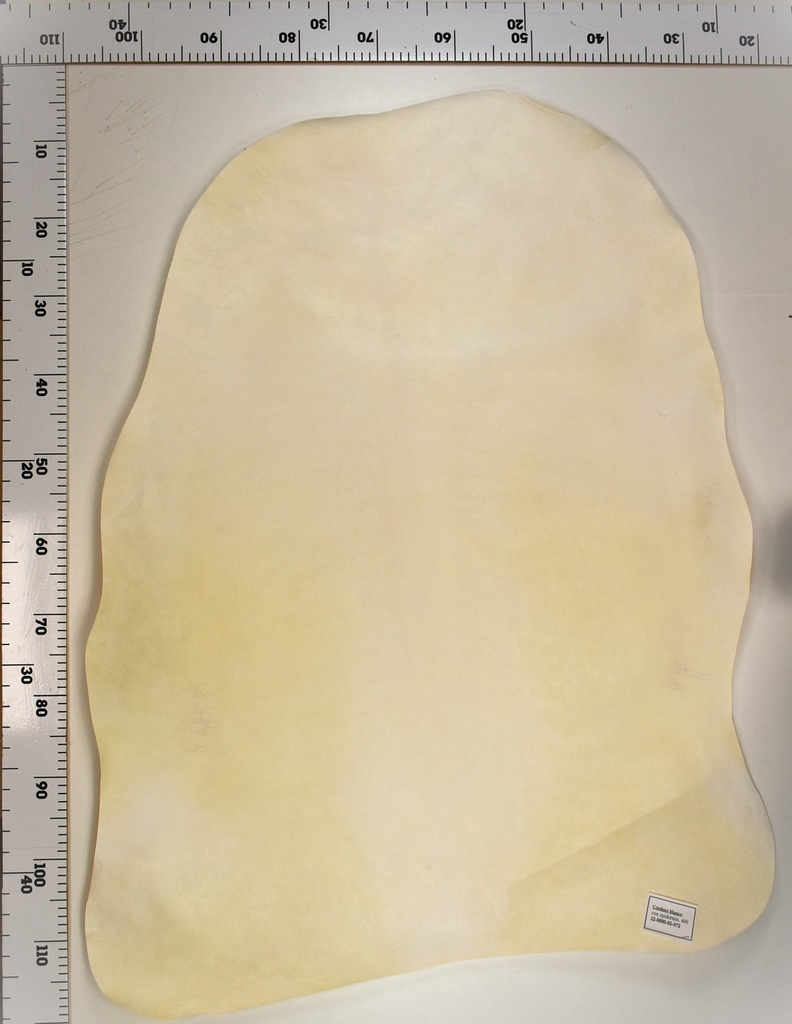 Cordero Blanco 22-0000-02-072