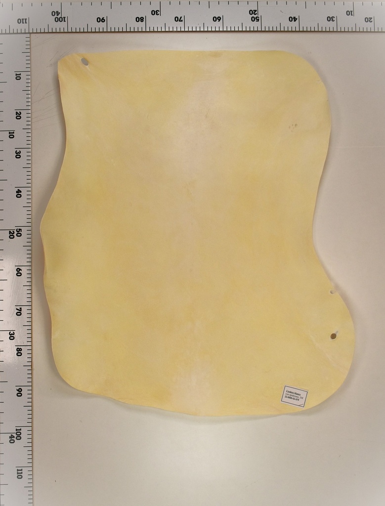 Cordero Blanco 22-0000-02-079