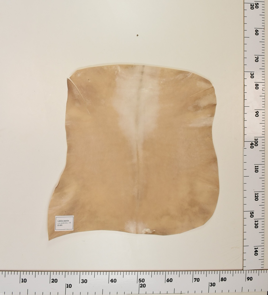 Cabrito Marrón ID001