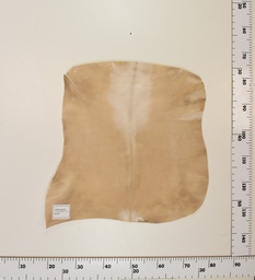 [24-0001-001] Cabrito Marrón ID001