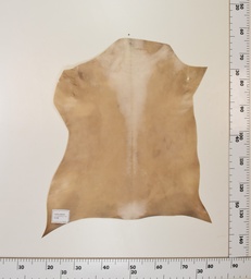 [24-0001-006] Cabrito Marrón ID006