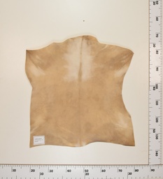 [24-0001-019] Cabrito Marrón ID019