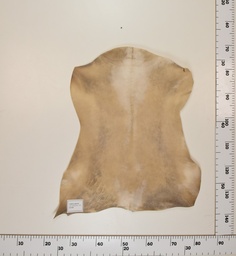 [24-0001-028] Cabrito Marrón ID028