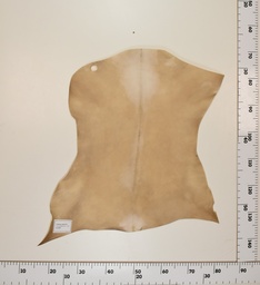 [24-0001-029] Cabrito Marrón ID029