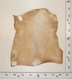 [24-0001-050] Cabrito Marrón ID050