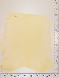 [22-0001-00-037] Cordero Natural ID037