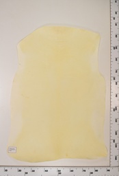 [22-0001-00-051] Cordero Natural ID051