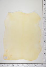 [22-0001-00-080] Cordero Natural ID080