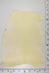 [22-0001-00-084] Cordero Natural ID084